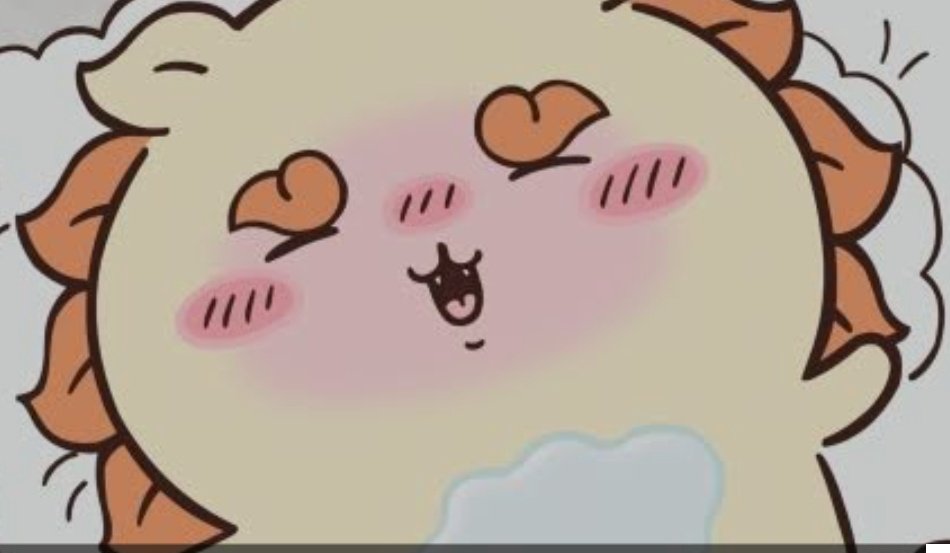 🐱雪乃💓 tweet media