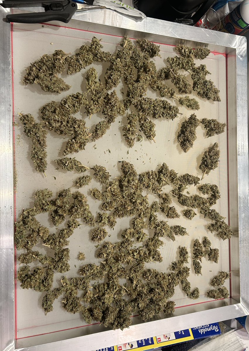 PigsEye_Pete tweet media