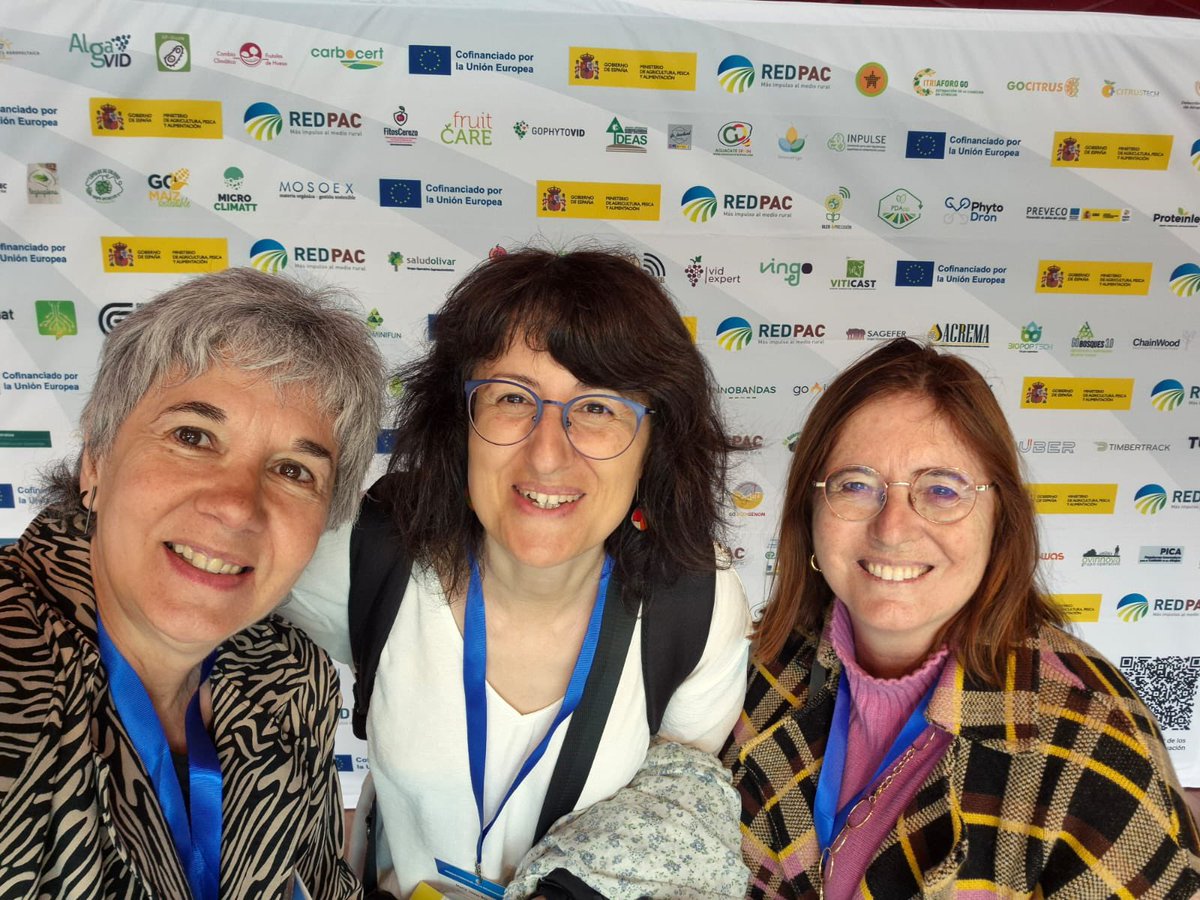 CugatGloria's tweet photo. Celebrant 10 anys de Grups Operatius Supraautonomics!!! 🥂Col.laboracio i Innovació son inseparables i imprescindibles per afrontar reptes agroalimentaris. Enhorabuena!! 👏🏻 Por un sector  agroalimentario saludable, sostenible y competitivo💪🏻 @agriculturacat @mapagob @MaiteAmbrosM https://t.co/22xIleqH5d
