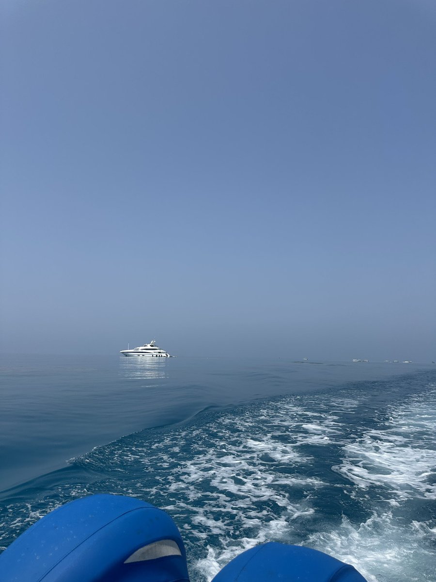 _jjustmo's tweet photo. 🏊🏻‍♂️✨ https://t.co/41hm5g63Wy