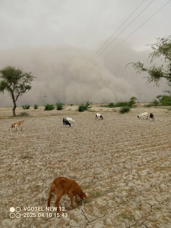 Monsoontv_india's tweet image. #Duststorm over #juhi #sindh #Pakistan 
@Arab_Storms @dineshsundlia @SkymetWeather @aajtak @PIW44