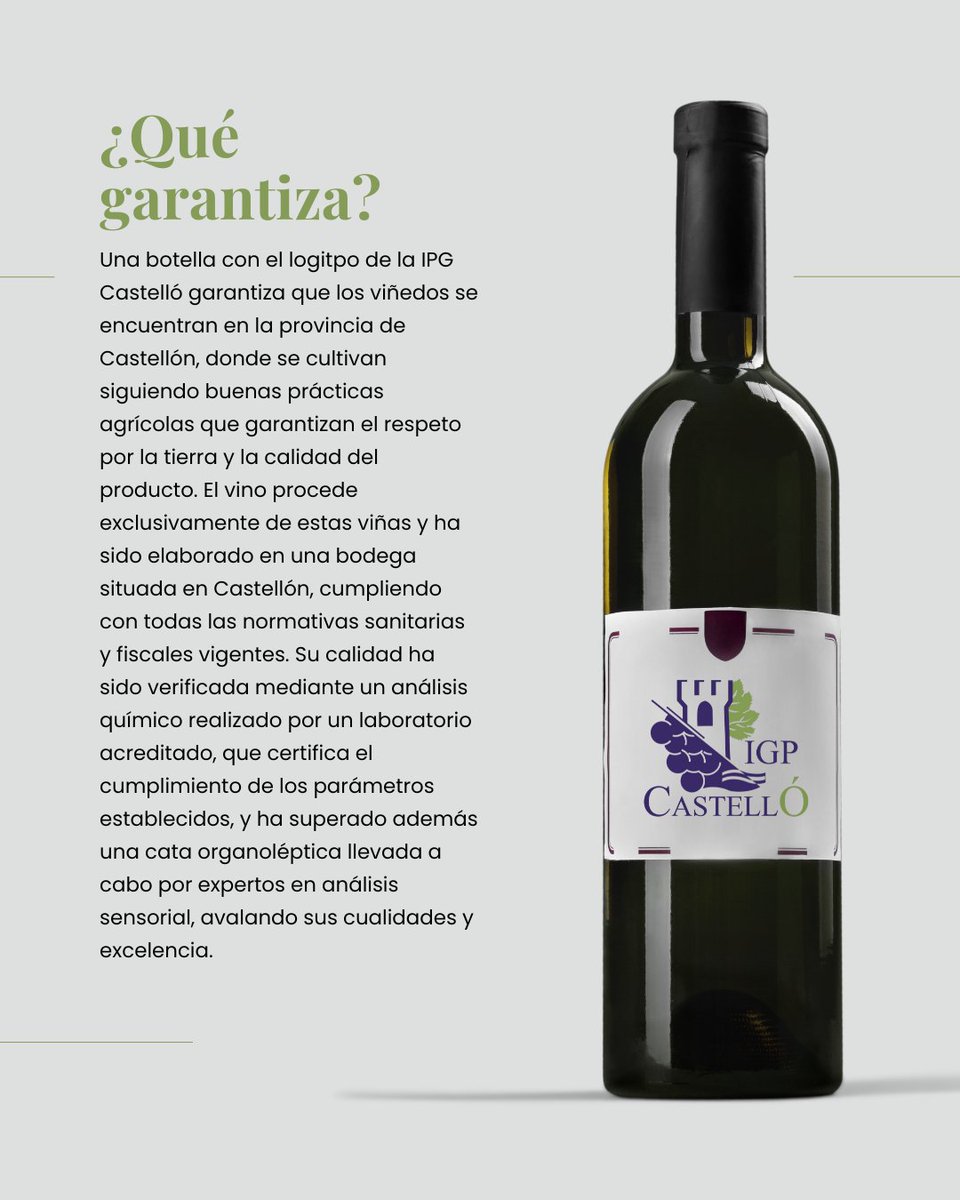 Què és la IGP Castelló? 🍷

La Indicació Geogràfica Protegida (IGP) Castelló és una figura de qualitat que identifica als vins elaborats a la província de Castelló 🍇🚜🌱