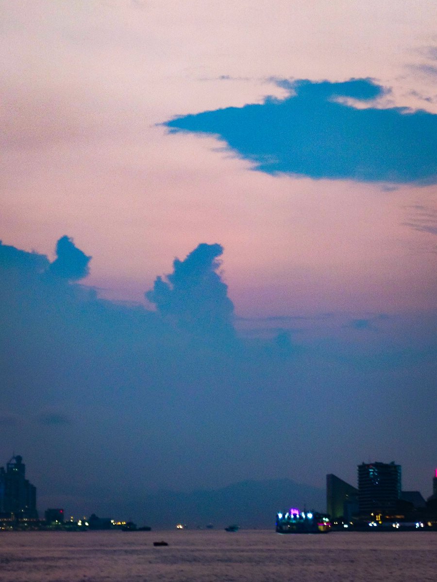 彗腥☄️🌸 #星詠み #35P 🗺️🐑 tweet media