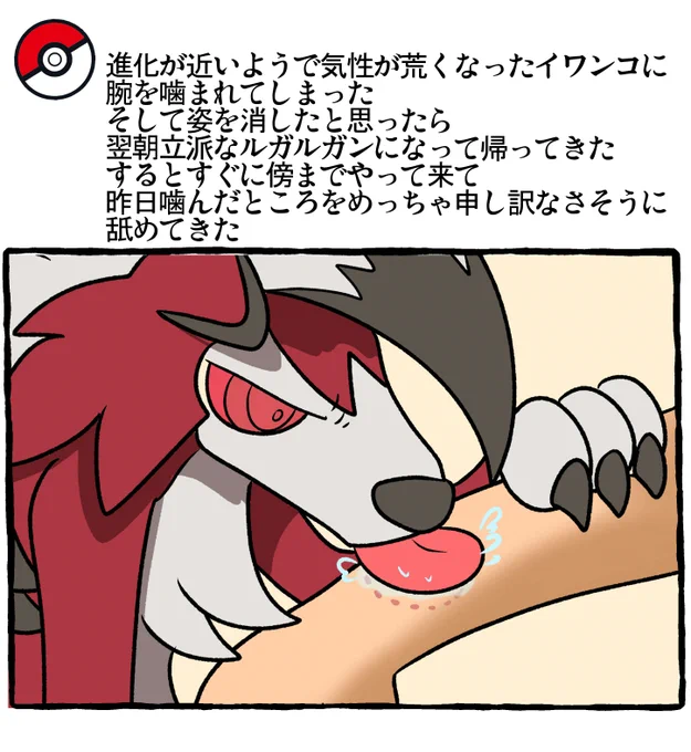 ポケモンとの日常 ルガルガン 
#ポケモンと生活 #ポケモンと社会 #Pokémon 
