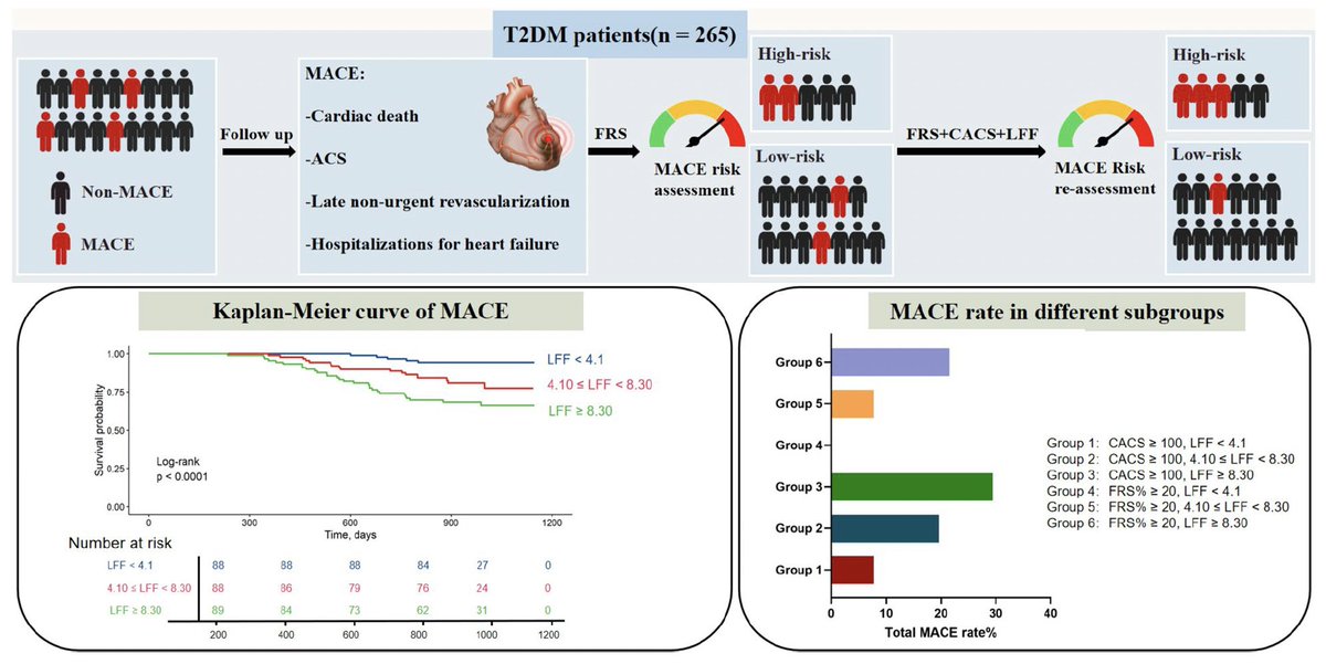 🎯To explore the incremental predictive value of liver fat fraction (LFF) on MACE occurrence in T2DM pts.

👥265 T2DM pts w/ suspected CAD undergoing CCTA+upper abdominal dual-layer spectral detector computed tomography (SDCT) examinations within a 7-day interval.

📊 Elevated