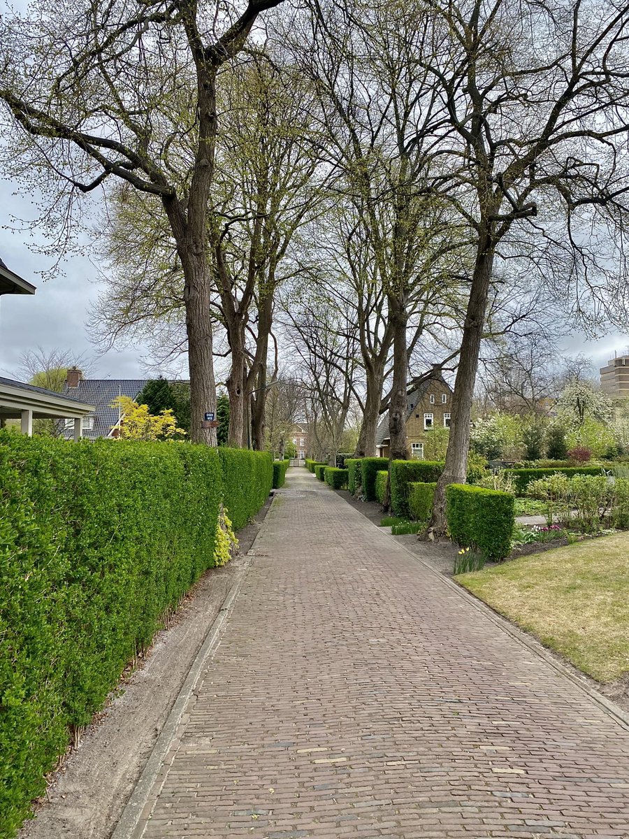 Aad van Tongeren tweet media