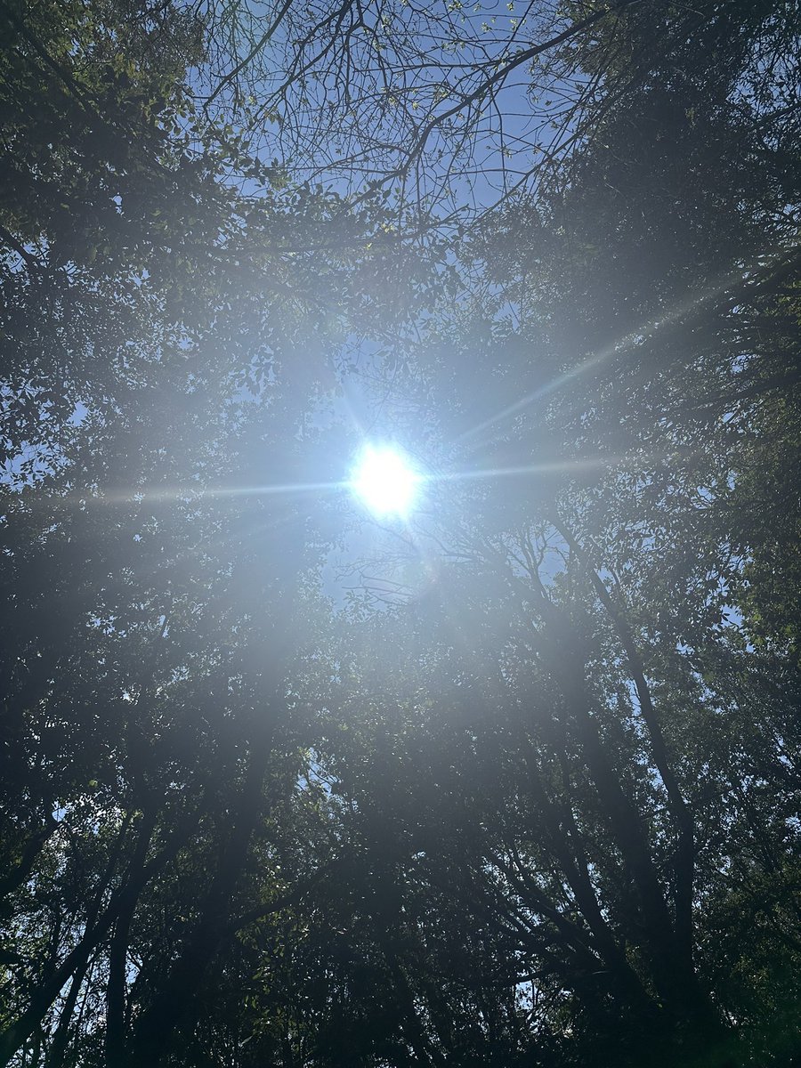 Alshaye3F's tweet image. Can’t wait for the return of the real sun 😍 #solarflash 
Let there be light 🌞