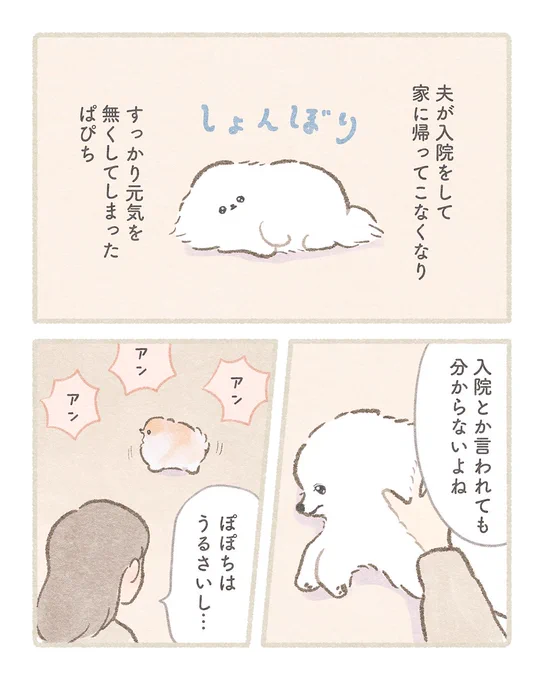 『パパいた』꒰ ՞•ﻌ•՞ ꒱
 #春のマンガ祭り #ぽぽち絵日記 