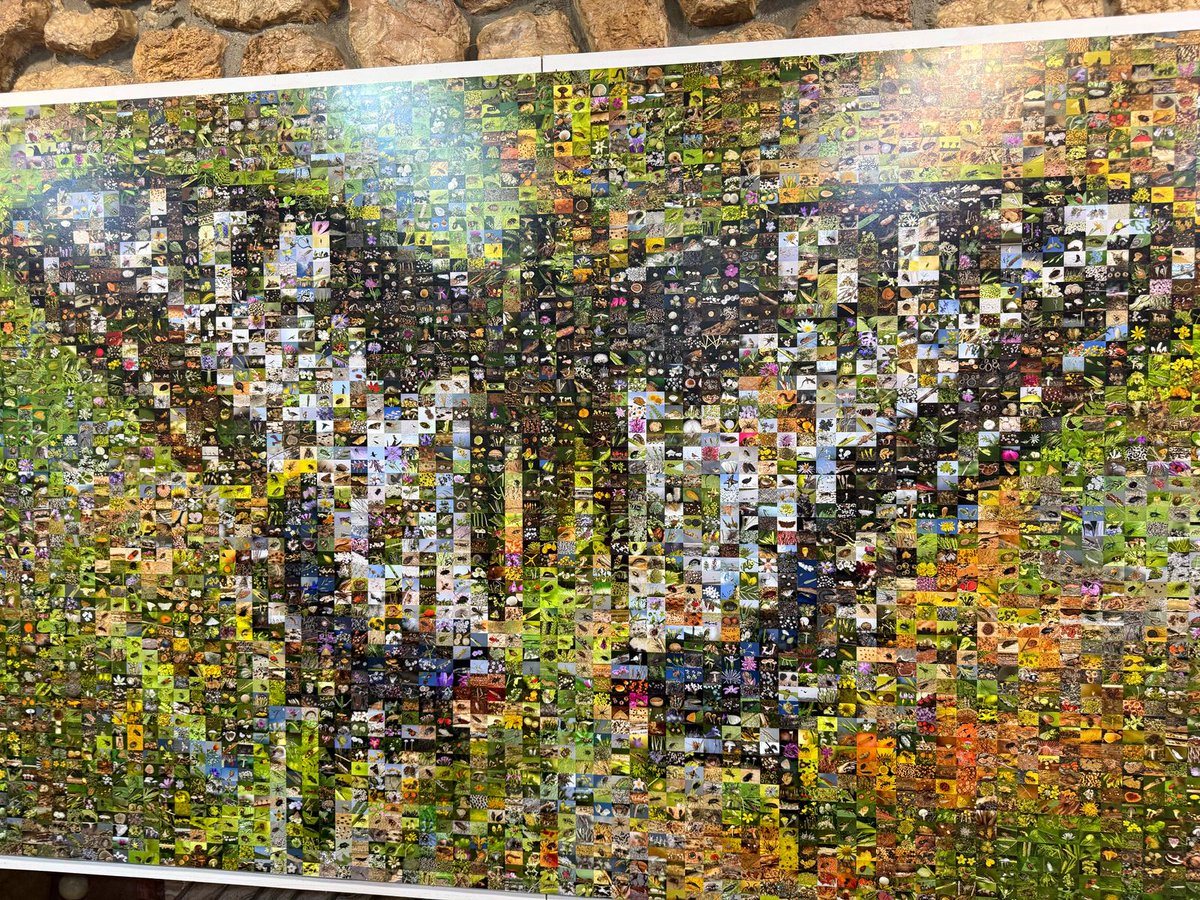 FRUITDIV tweet media