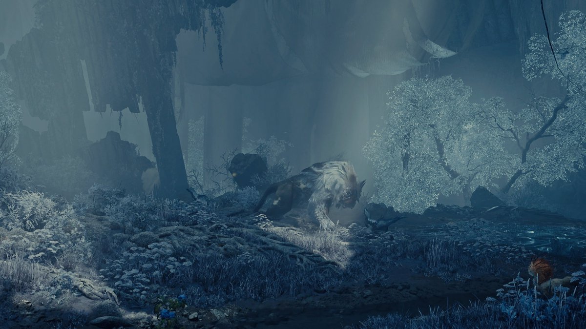 Gage Allen tweet media