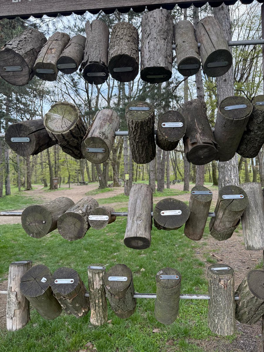 FRUITDIV tweet media