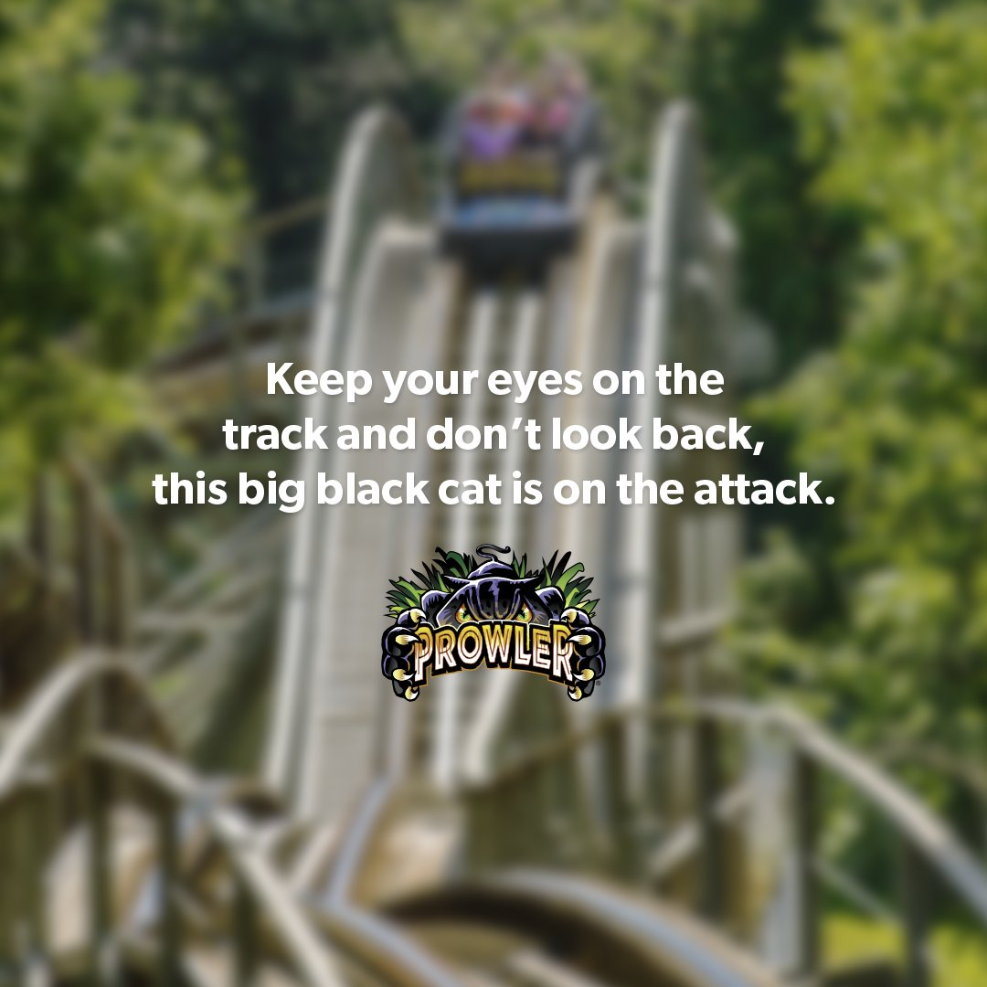 worldsoffun's tweet photo. Which #WorldsofFun roller coaster send off is your favorite? 🙌🔥 https://t.co/vqRrVB9vbA