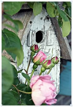 LindaMahkovec's tweet photo. The Garden House – https://t.co/SsUTAh6Ee5
$0.99 in April
#readingisbeautiful #books #readingislife #midlife #homemade #booklovers #Goodreads #womensfiction #bookworms #readingworld #readinginthegarden https://t.co/swXaR9gTIQ