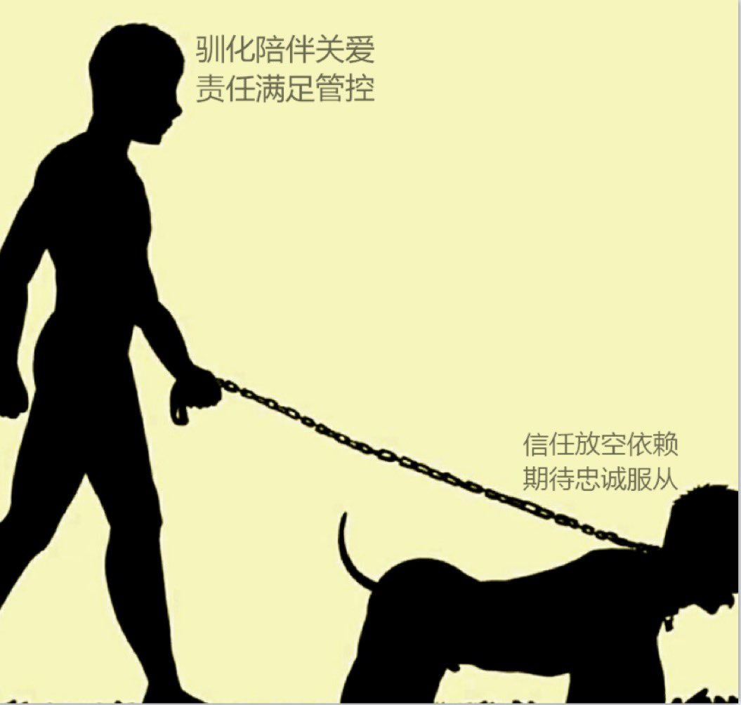 随风 (@fusheng439933) / Posts / X
