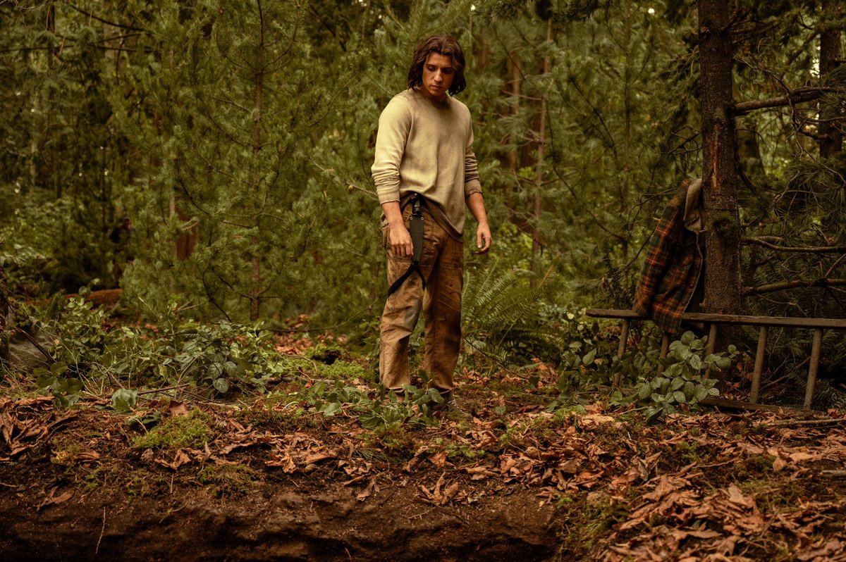 Kevin Alves tweet media