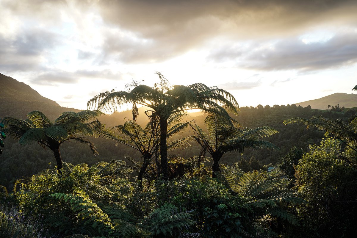 📢Call for papers on Planetary Health!

🌍 "Addressing the Ecosocial and Structural Determinants of Health in a Rapidly Changing World"

🌱Rolling call
🌱Transdisciplinary research encouraged
🌱Submit your research!

More information: bit.ly/4j2y8rc

#planetaryhealth