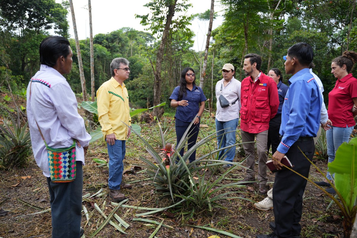 #AECIDNoticias 📰| Tres mil personas se benefician del programa Euroclima para la reducción de riesgos climáticosy resiliencia en el distrito de Kusapín, Comarca Ngäbe-Buglé. 🌳

Leer nota completa ➡️ bit.ly/4jkH8rw
#SomosCooperación #AECID 🇪🇸🇪🇺🇵🇦