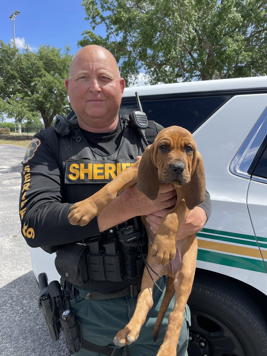 Polk County Sheriff 🚔 Grady Judd tweet media