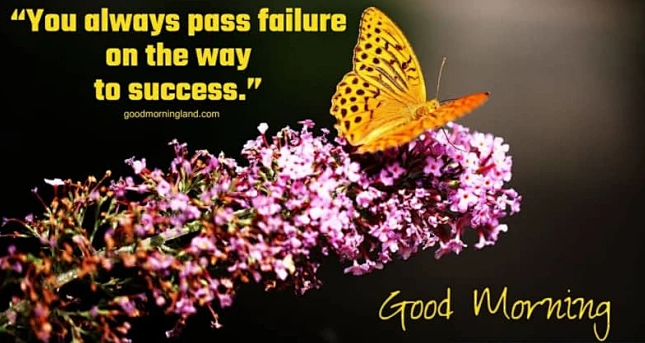 Elodie Boyer (@elodieboyerr) on Twitter photo 