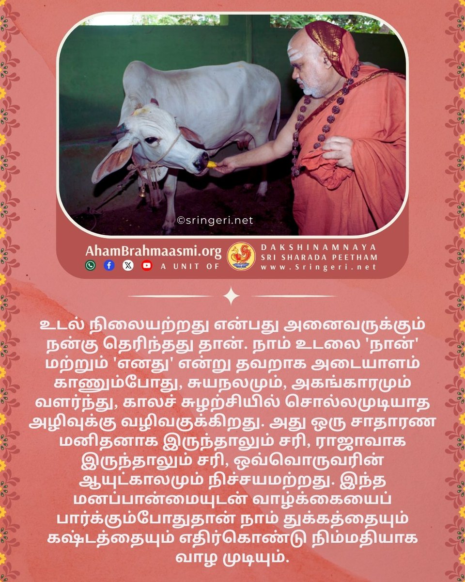 ABinTamil's tweet photo. வாழ்க்கையின் நிலையற்ற தன்மையைப் புரிந்துகொண்டு வாழ வேண்டும்.
#உடல் #உள்ளம் #ஆணவம் #அமைதி #Ephemerality #Superimposition https://t.co/MpCFSMCTs4