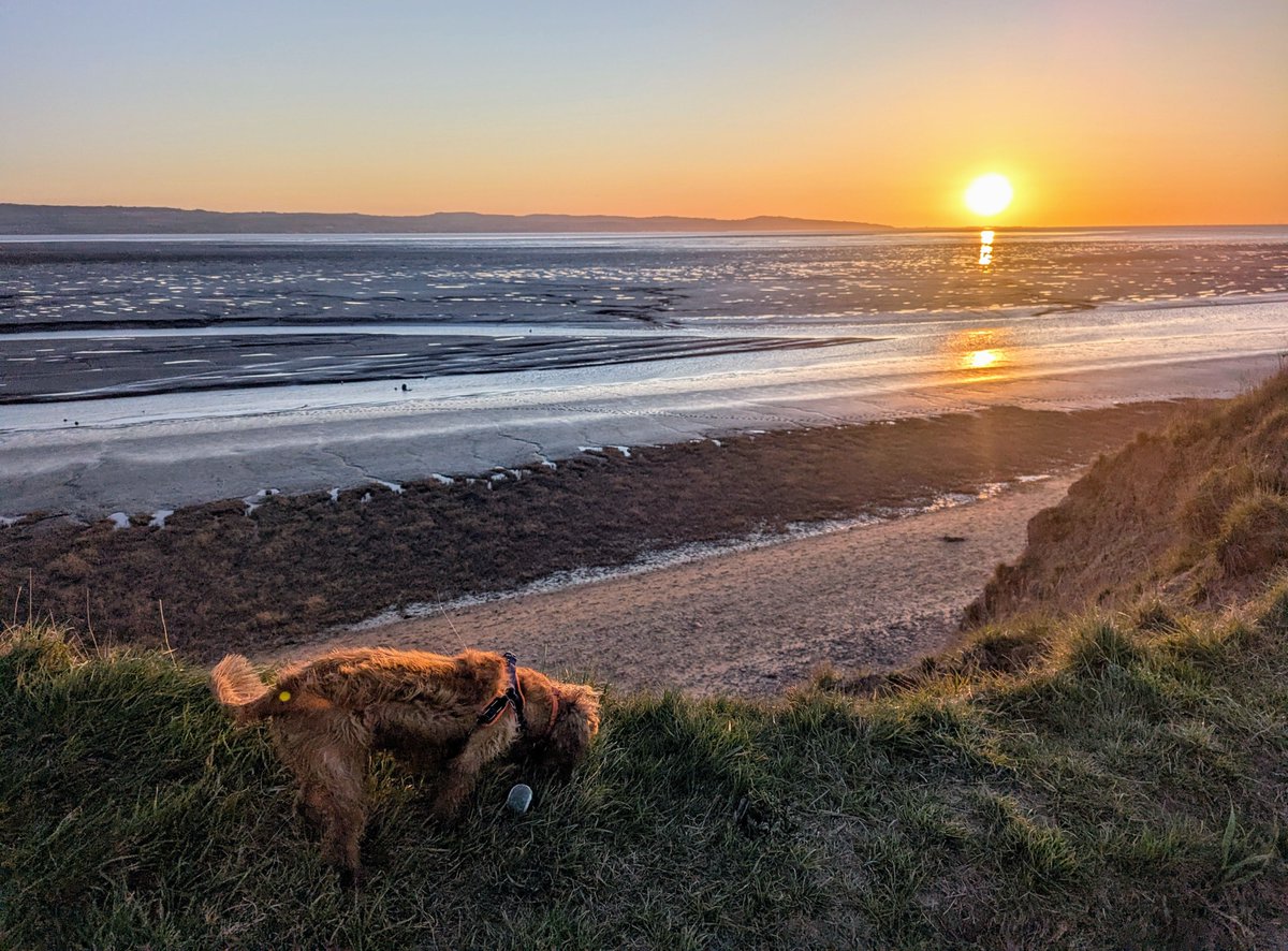 What makes an ocean sunset even better? 🐶🐕‍🦺🐩 of course! Rachel Cliffe, the Hub's Research Computing Engineer, took her pup Roxy out for a well-timed walk along the beach, partly for the views and partly to get some extra steps in for a challenge on her Garmin!