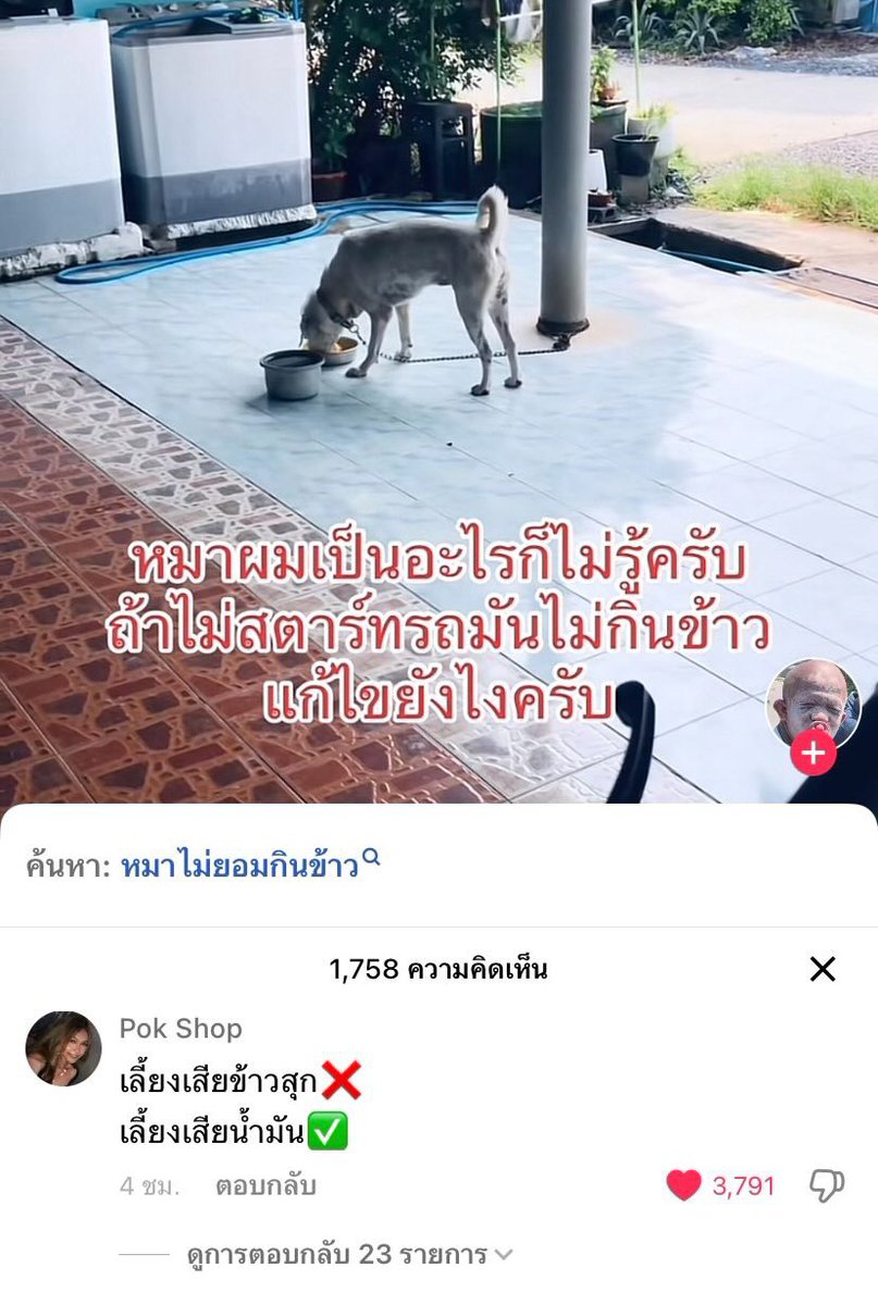 โอ้ยยยยยย 555555555555555555555555555