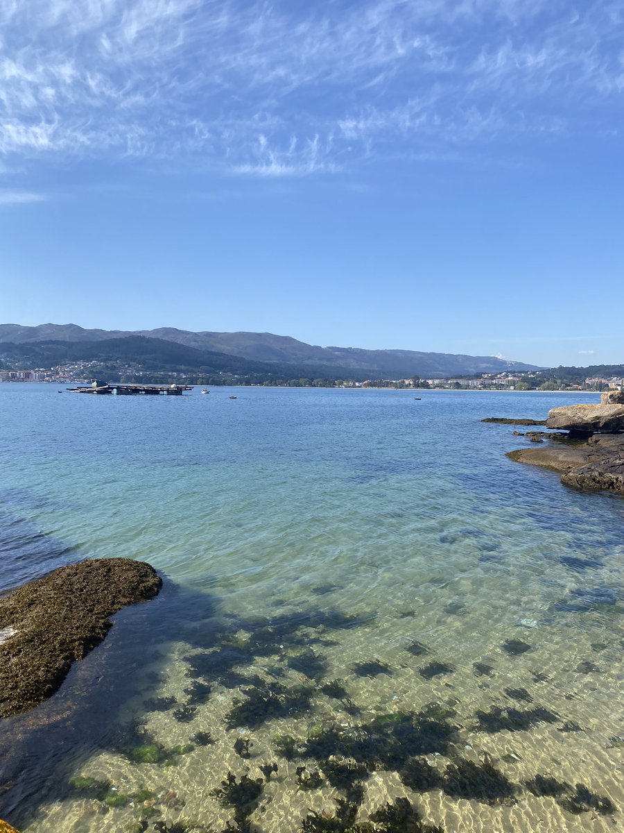 SojeeJs's tweet image. 🏖️