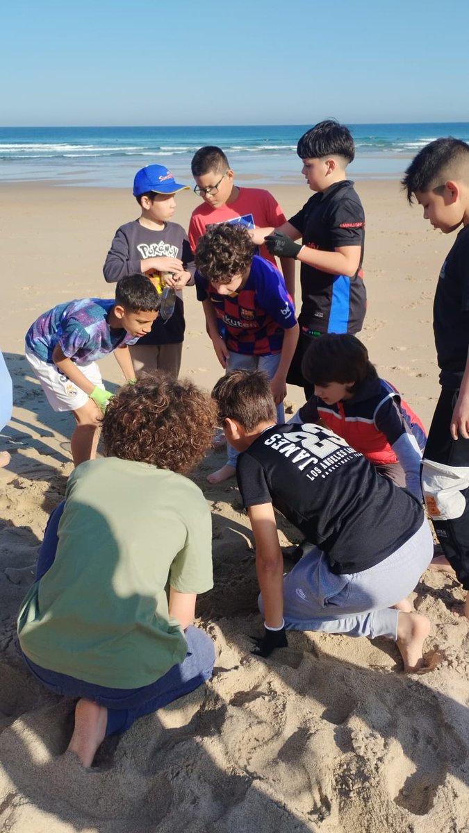 MRE_Eskola's tweet photo. Gaur hondartza garbitu dugu! LH4, LH5 eta LH6 taldeen artean, Zurriolako hondartza garbitu dugu, Surfrider fundazioak eman digun materialaren laguntzarekin. Horretarako, eskularruak, iragazkiak, zakuak eta poltsak erabili ditugu.

#hondartzagarbiak #agenda30 #MRE #egia #LH https://t.co/a9vRctZpvO
