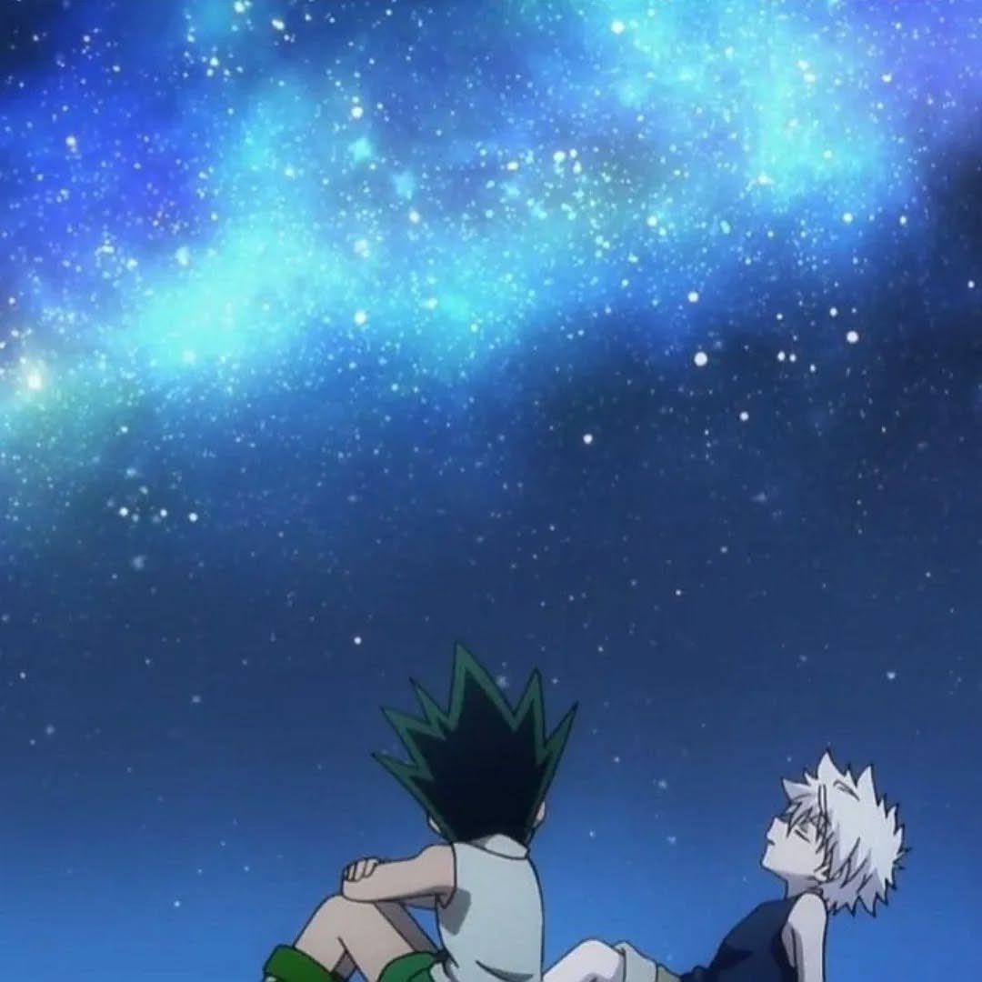 Hunter x Hunter (@hxhvizuals) on Twitter photo 