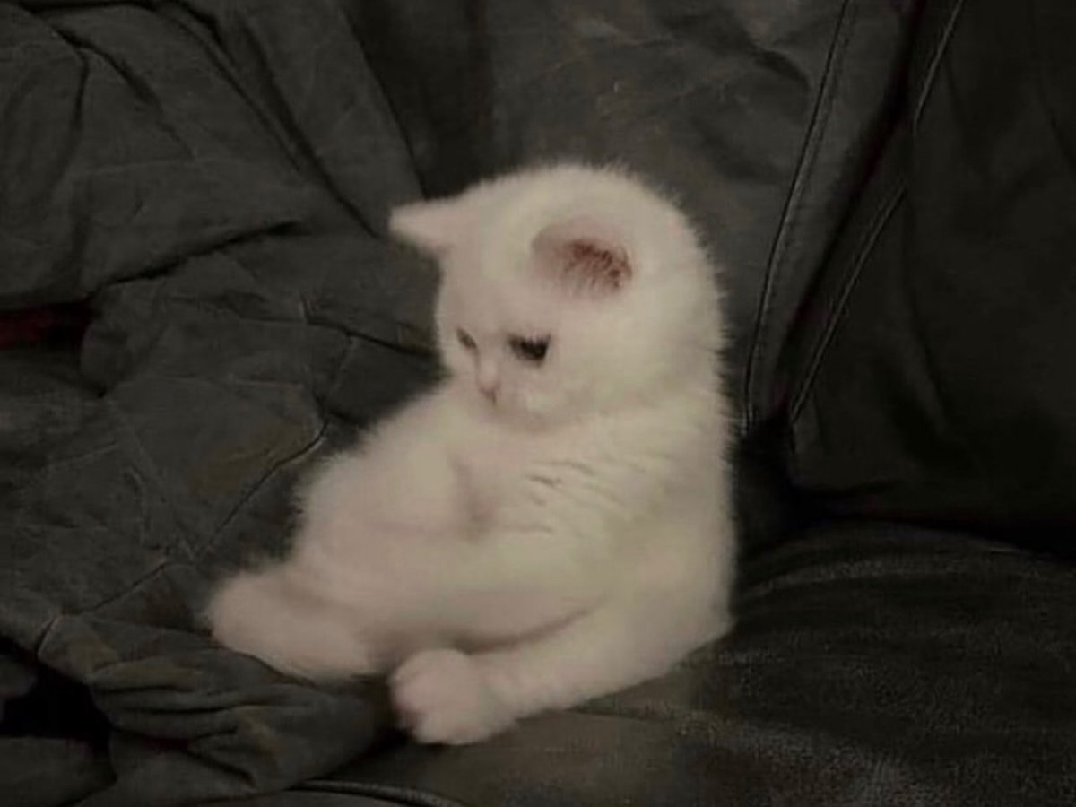 - bir şey mi oldu 
- hayır bişe yok