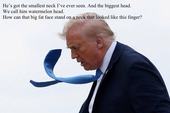 The 10 cent Biff strikes again!! 🍊🤡 #TrumpIsUnfitForOffice