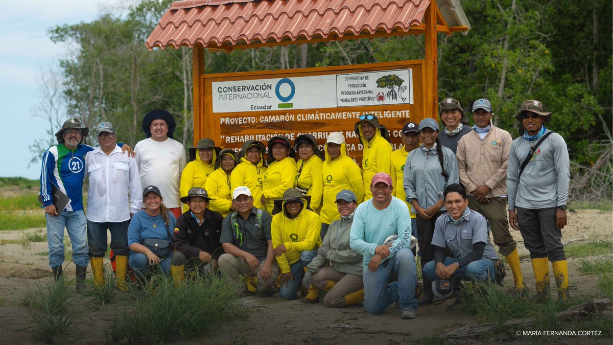 🌱 ¡Los manglares de la Isla Puná están renaciendo!
Esta zona, antes fuente esencial de cangrejo rojo para los pescadores artesanales, sufrió una fuerte degradación del manglar. Hoy, gracias a un esfuerzo conjunto, comienza a recuperarse. 🦀
