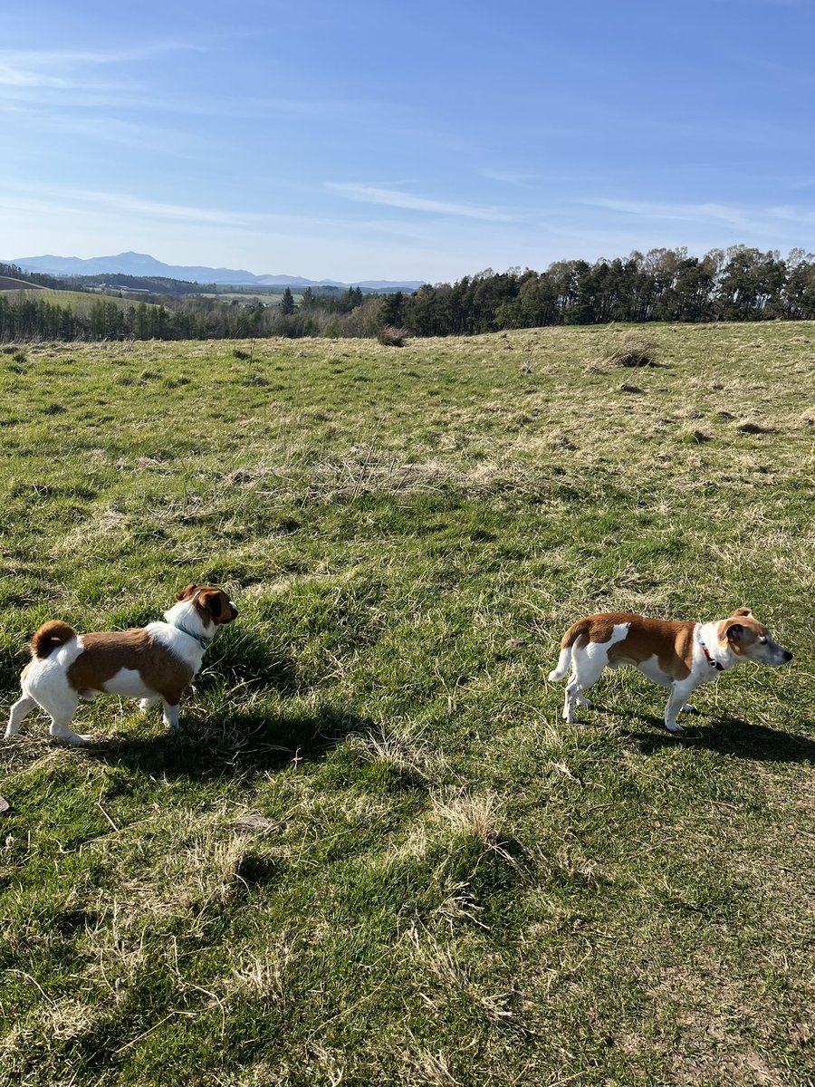 Jacqui jones tweet media