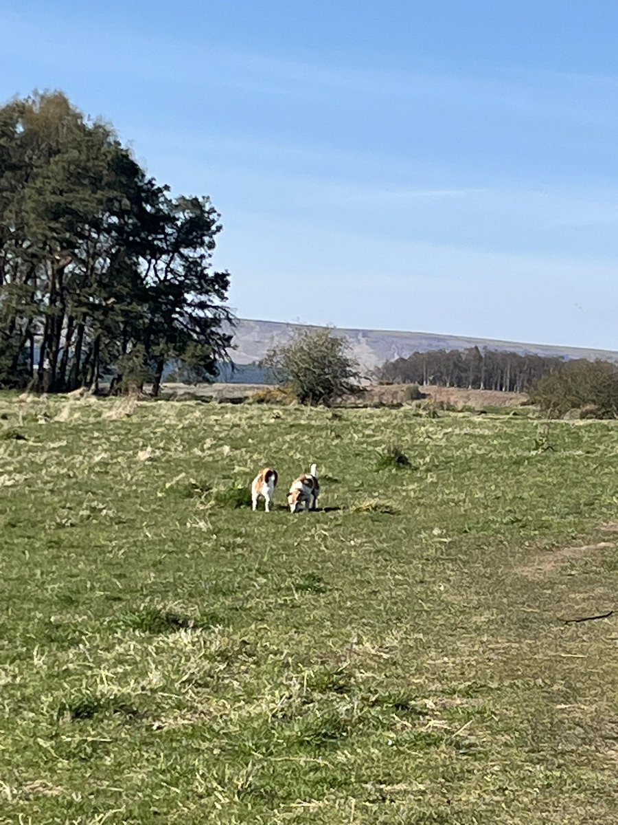 Jacqui jones tweet media