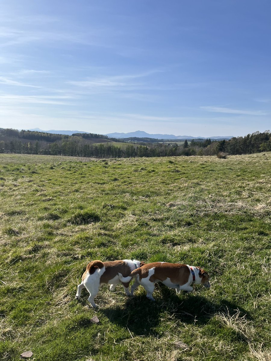 Jacqui jones tweet media