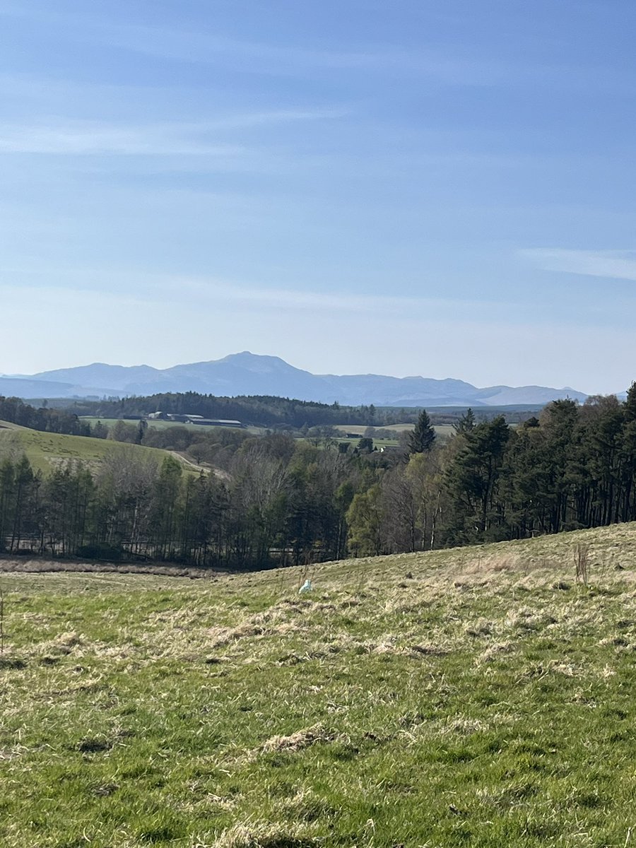 Jacqui jones tweet media