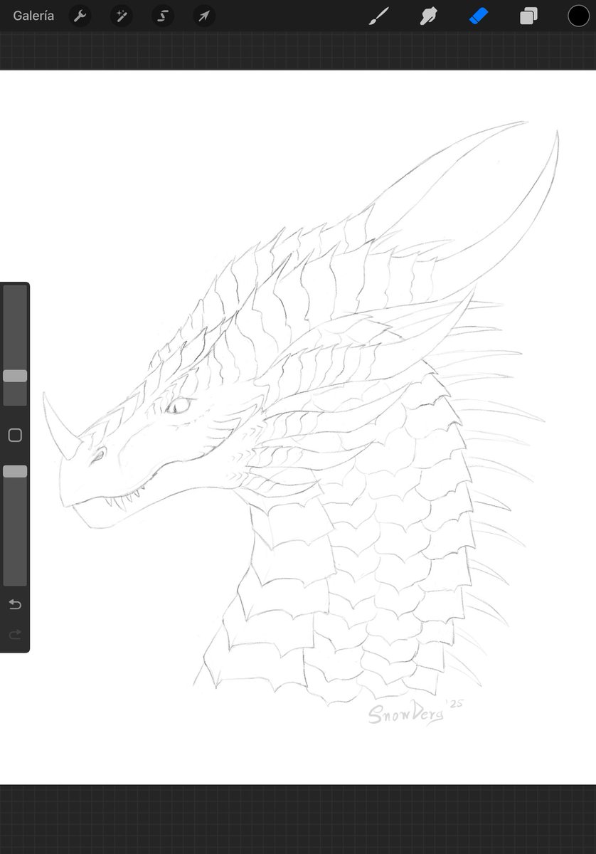 - ̗̀ SnowDerg ̖́- ❄️🐲🪶 tweet media