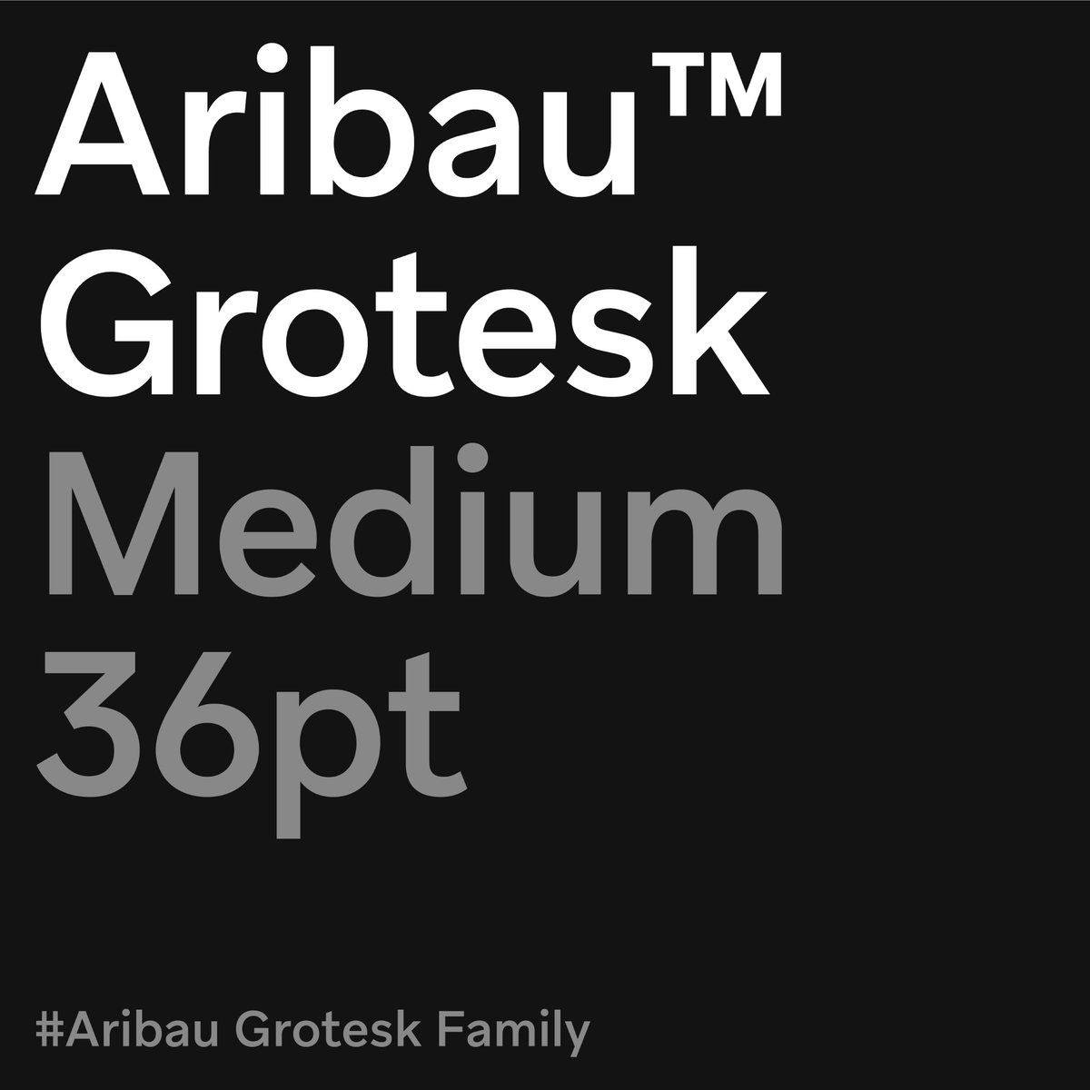 Aribau Grotesk Typeface
Download and test Free Trials from our entire font library! 🎁
emtype.net/fonts/aribau-g…

#font #typeface #typography #testfonts #digitalarchive #type #design #fontdesign #typedesign #visualjournal #freetrials #thebrandidentity #designfeed #type01