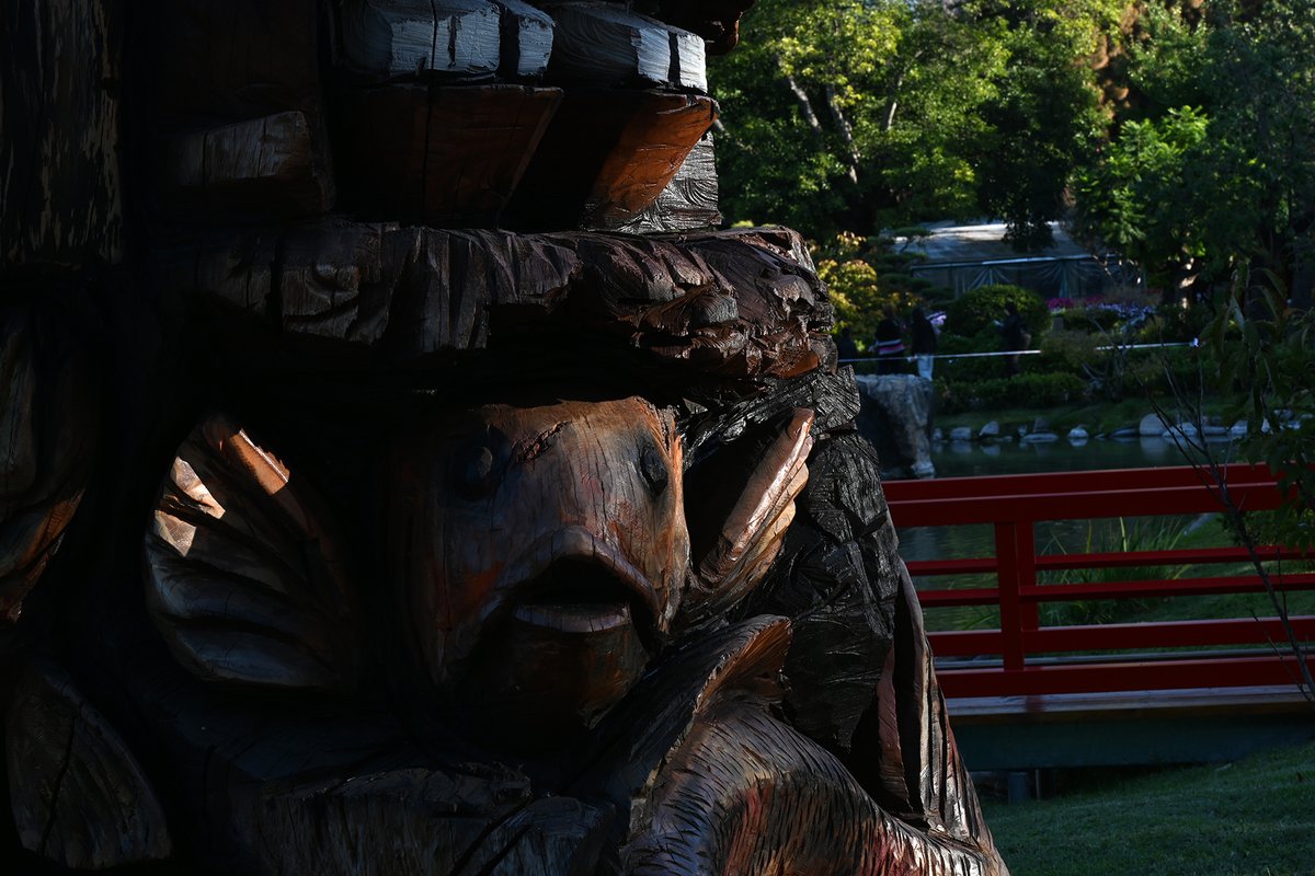 ladera_sur's tweet photo. #ArtículoLS Cuando un árbol muere de pie: La vuelta “a la vida” en el Jardín Japonés tras un furioso temporal

🔗 Si quieres leer más sobre la historia de Pérez y sus esculturas, revisa la nota de @mariodefina_, desde Buenos Aires, en el siguiente link: https://t.co/PV4vz1yhc3 https://t.co/wHBiir3kj6