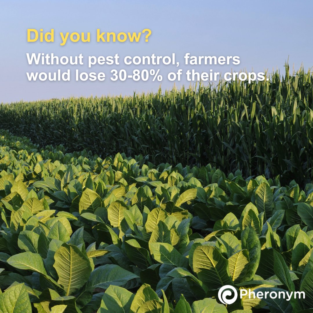 🌱 Farmers need effective, sustainable solutions that nurture the topsoil with less #carbonfootprint to grow more food and fiber.

At Pheronym, we use a new kind of pheromone from microscopic roundworms called #nematodes to address these needs 👉 ow.ly/6qpl50Vyjln