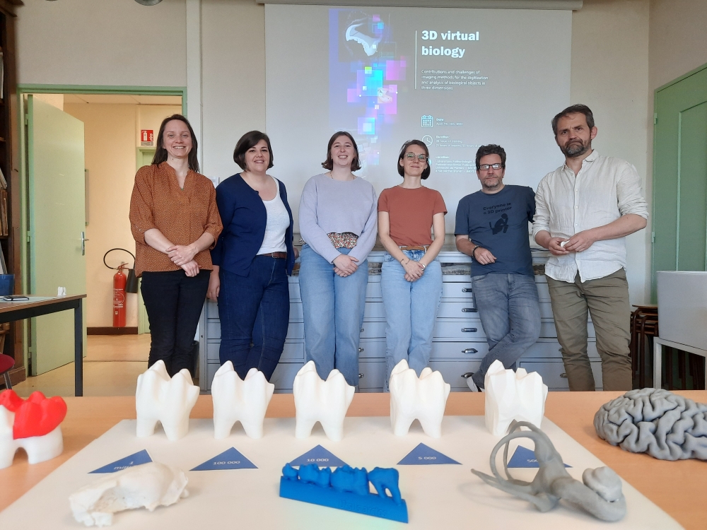 PALEVOPRIM (@palevoprim) on Twitter photo 👉Formation "Biologie virtuelle 3D" <a href="/palevoprim/">PALEVOPRIM</a>
L'équipe de formateur·trice·s <a href="/CamilleGrohe/">Camille Grohé</a>, <a href="/Charchotte/">Charlotte.</a> Theye, <a href="/AxelleWalker/">Axelle Walker</a>, <a href="/BeaudetAmelie/">Amélie Beaudet</a>, Jérôme Surault, <a href="/GildasMerceron/">Gildas Merceron</a> vous donne rendez-vous en 2026 ! 👏 👉Formation "Biologie virtuelle 3D" <a href="/palevoprim/">PALEVOPRIM</a>
L'équipe de formateur·trice·s <a href="/CamilleGrohe/">Camille Grohé</a>, <a href="/Charchotte/">Charlotte.</a> Theye, <a href="/AxelleWalker/">Axelle Walker</a>, <a href="/BeaudetAmelie/">Amélie Beaudet</a>, Jérôme Surault, <a href="/GildasMerceron/">Gildas Merceron</a> vous donne rendez-vous en 2026 ! 👏