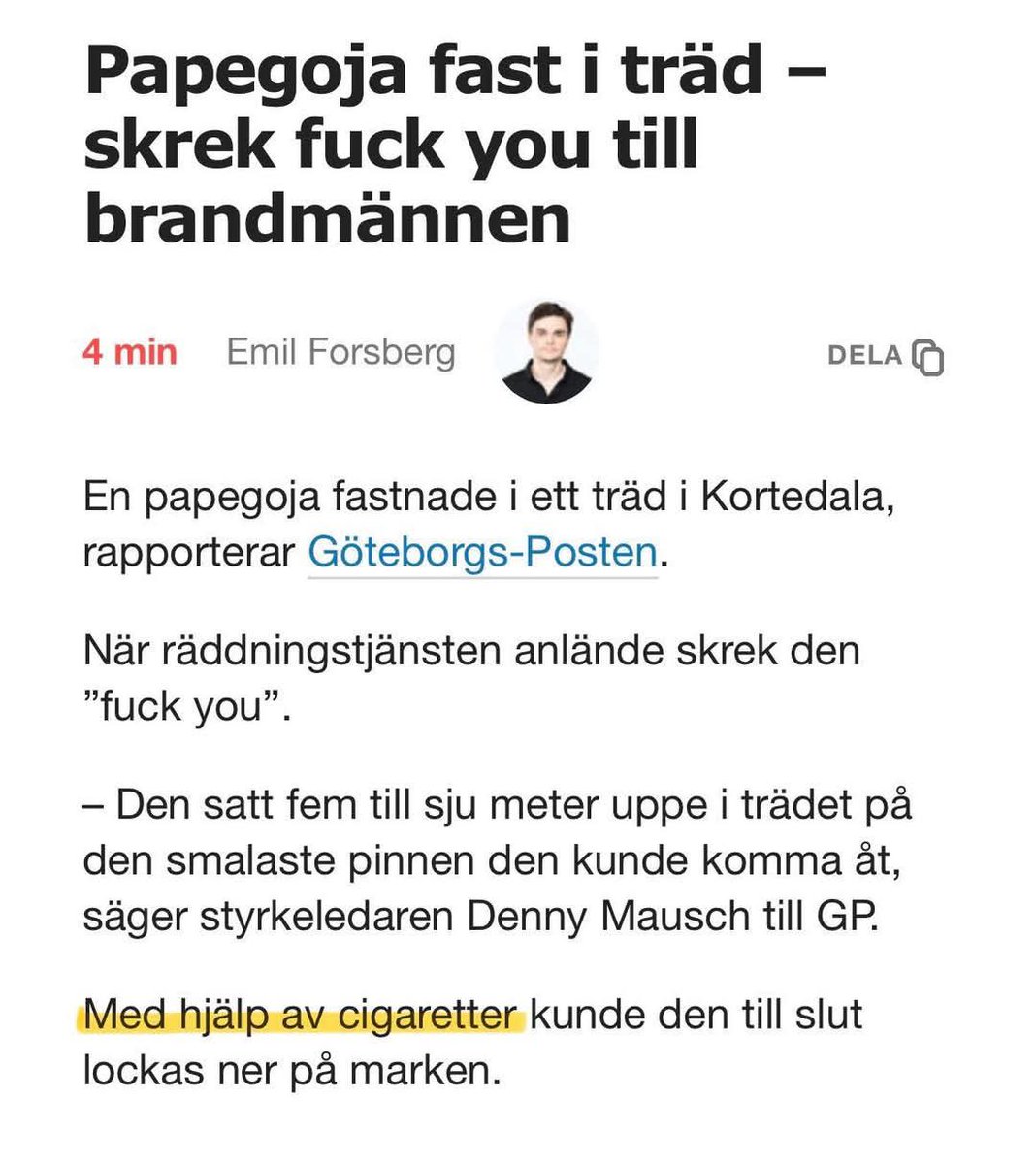 mattias_neo's tweet photo. Så länge tillvaron bjuder på sådant här måste man ju ändå älska att leva. https://t.co/vyzTgdUjkW