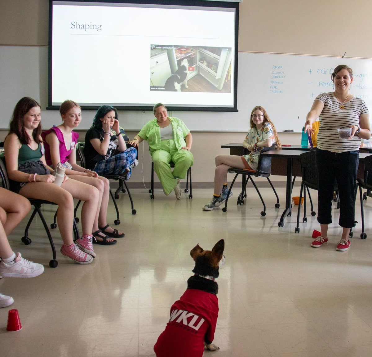 GiftedStudies's tweet image. VAMPY Course Spotlight! Today we highlight Psychology, led by Kourtney Clark. This psychology course is designed to introduce students to the behavior and mental processes of human beings and other animals. 
Learn more: wku.edu/gifted/vampy 
#VAMPY25 #gtchat #gifted