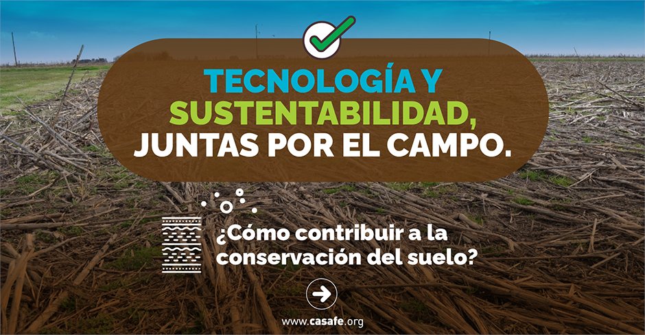 CasafeOk's tweet photo. 🌎El suelo es un recurso no renovable, y su conservación es clave para el futuro de la agricultura. 
🔬Tecnologías como la fertilización, los cultivos de servicio y las rotaciones con gramíneas son fundamentales para mejorar la salud del suelo. Además, las Buenas Prácticas Agrícolas (BPA) nos ayudan a hacer las cosas bien, utilizando los recursos de manera responsable. 🌱

Encontrá más info para una producción responsable y sustentable en nuestro sitio web https://t.co/32i34tGrJg

#sustentabilidad #conservaciondelsuelo #suelo #produccionsustentable #sostenibilidad #produccionsostenible #agro #campo #biodiversidad #degradaciondelsuelo #materiaorganica