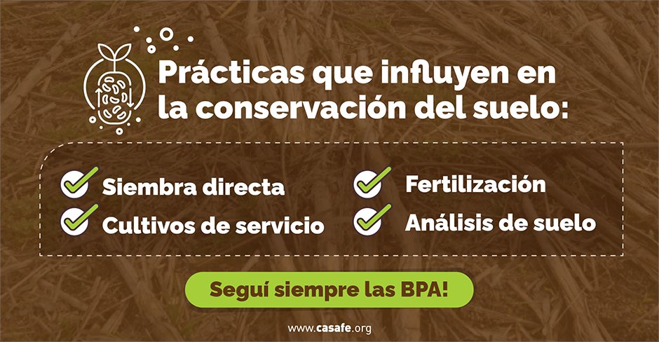 CasafeOk's tweet photo. 🌎El suelo es un recurso no renovable, y su conservación es clave para el futuro de la agricultura. 
🔬Tecnologías como la fertilización, los cultivos de servicio y las rotaciones con gramíneas son fundamentales para mejorar la salud del suelo. Además, las Buenas Prácticas Agrícolas (BPA) nos ayudan a hacer las cosas bien, utilizando los recursos de manera responsable. 🌱

Encontrá más info para una producción responsable y sustentable en nuestro sitio web https://t.co/32i34tGrJg

#sustentabilidad #conservaciondelsuelo #suelo #produccionsustentable #sostenibilidad #produccionsostenible #agro #campo #biodiversidad #degradaciondelsuelo #materiaorganica