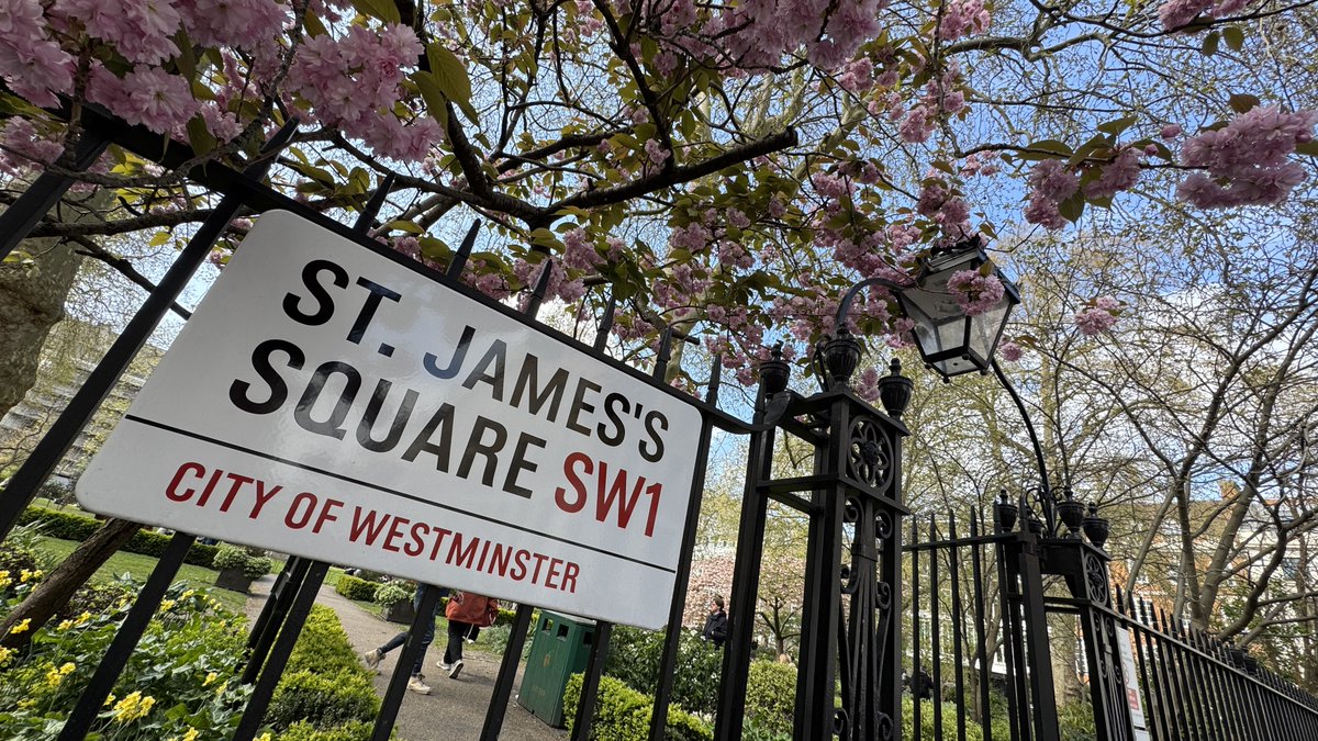 St James's Square #blossom #spring #london