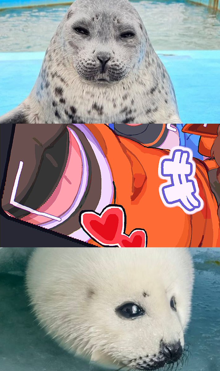 tierrList's tweet photo. MAYBURI!❤️ (warning, ‼️do NOT click on the images!) https://t.co/hUG4Q5eamN