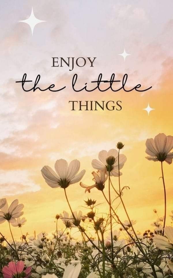 POSITIVITY tweet media