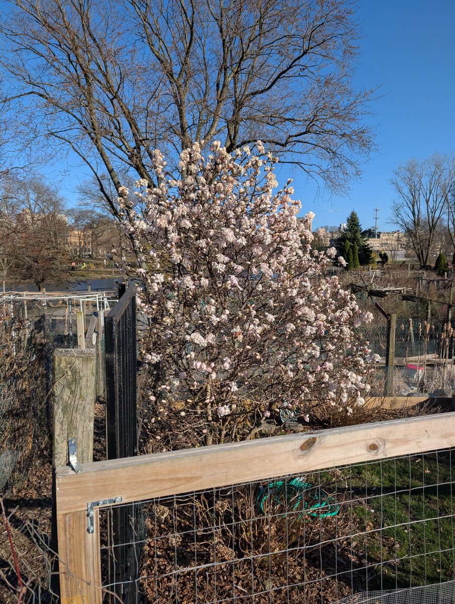 Manners by Garrison Keillor: open.substack.com/pub/garrisonke…