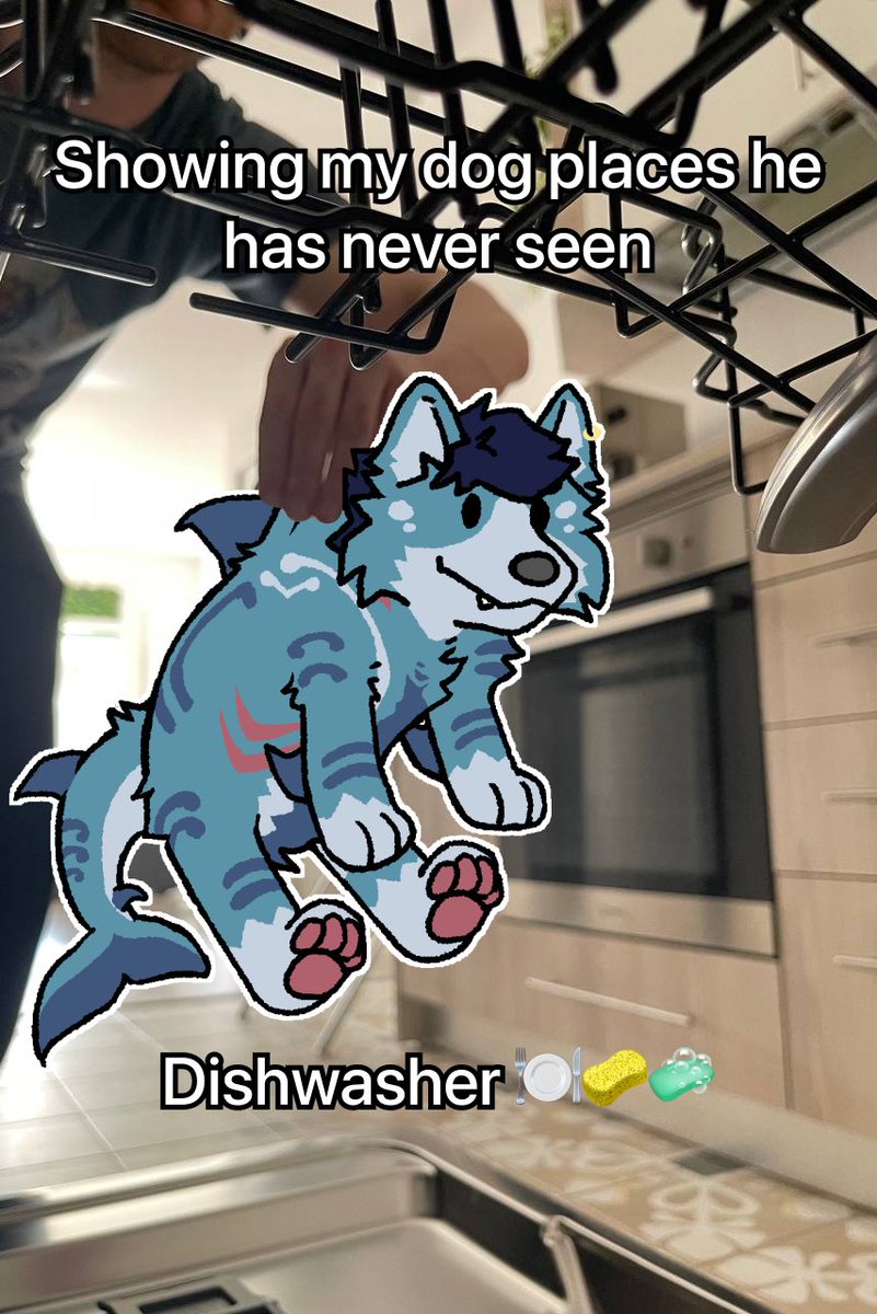 fizzybarks's tweet photo. Dishwasher 🍽️🧽🧼 https://t.co/5UNwgUJ4OW